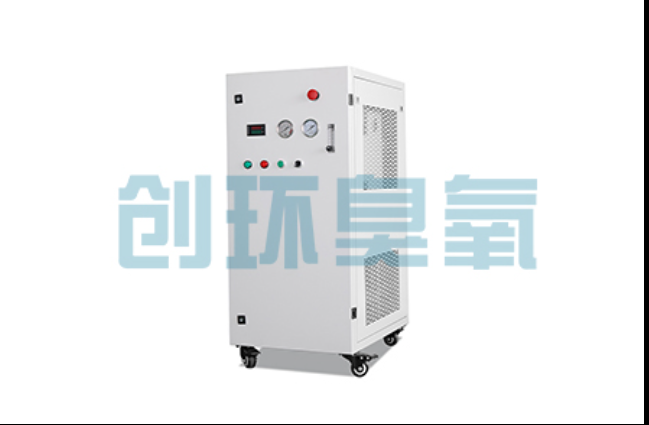 津南工厂化养鲈必看:2026年臭氧发生器替代传统消毒的最新方案