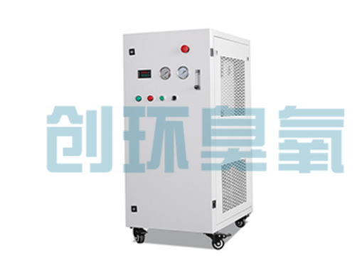 津南石斑鱼养殖水质调控完整指南:臭氧发生器配置与操作步骤