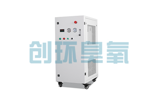 津南比传统换水更高效?臭氧发生器在石斑鱼养殖中的水质净化原理解析