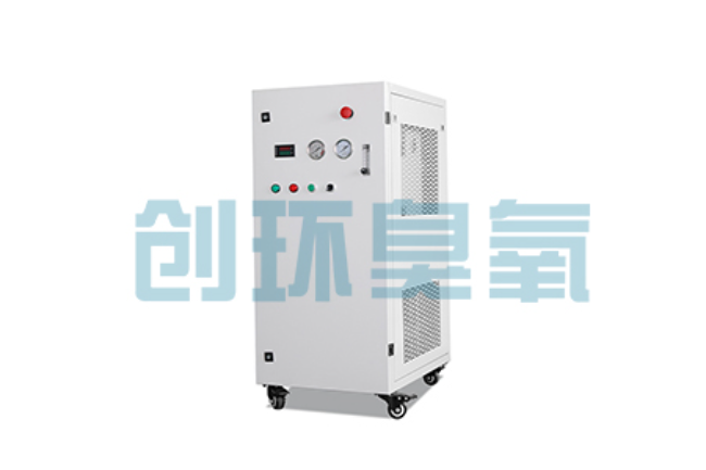 津南比传统换水更高效?臭氧发生器在石斑鱼养殖中的水质净化原理解析